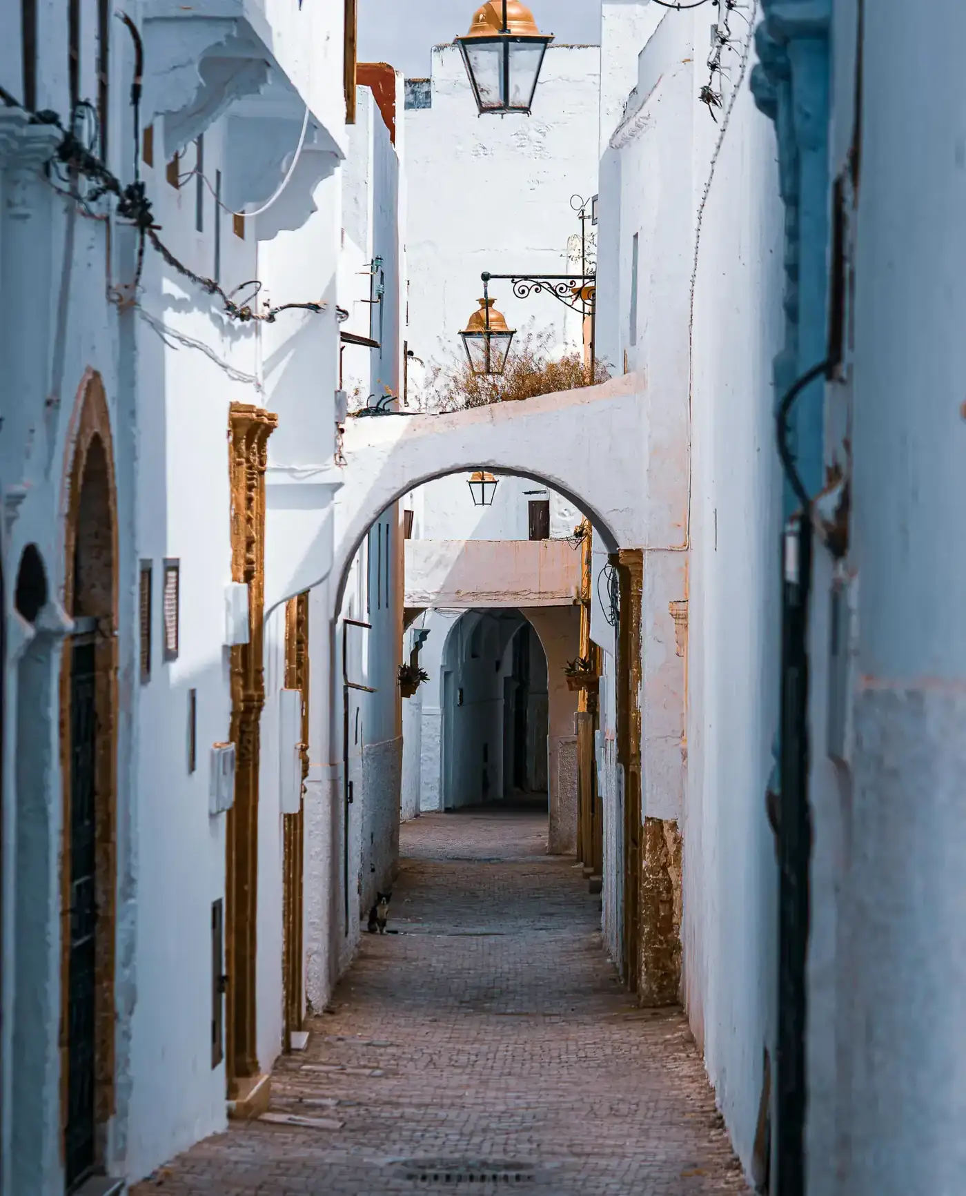 Discovering the Medina: A Guide to Marrakech's Hidden Gems